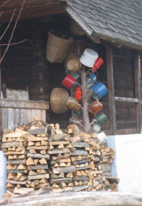 Topfbaum, &copy; Gudrun Pauksch