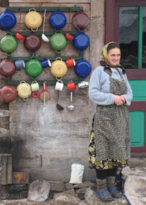 Topfbaum, &copy; Gudrun Pauksch