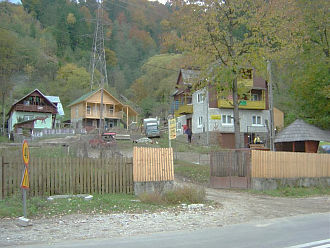 Voineasa
