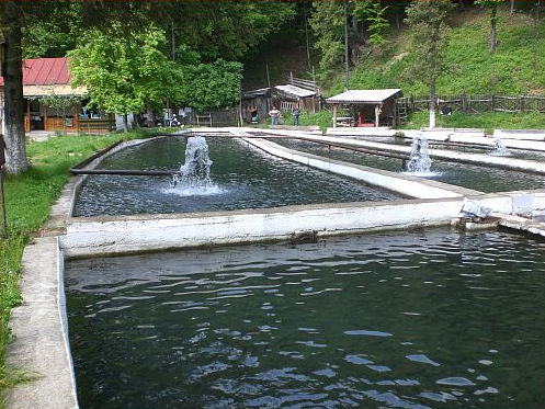 Pastraverie