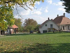 92 Deutsch-Tekes 10.10.2008 Garten