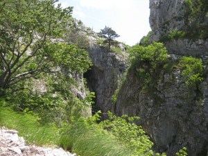 geheimnisvolles_loch