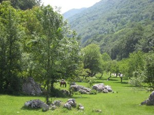 image030