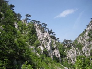 landschaft_2