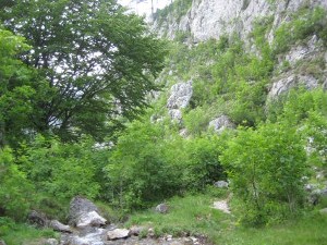 landschaft_6