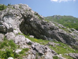 pseuydohoehle