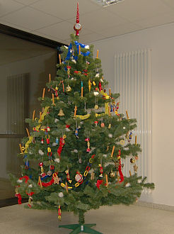 Ein Christbaum f�r Freudenberg