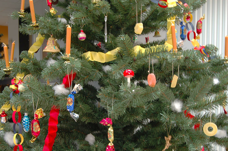 Ein Christbaum f�r Freudenberg