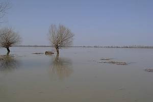 Donau mit Hochwasser bei Galaţi