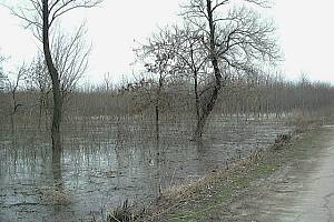 Donau mit Hochwasser bei Galaţi